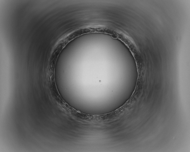 X0000114200920200910161222