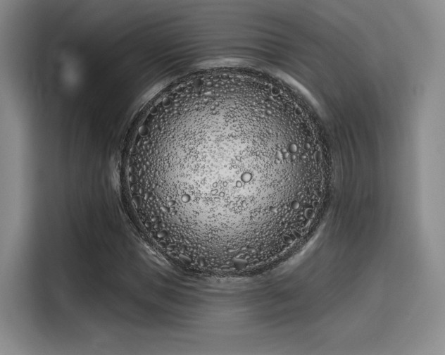 X0000114200921200910161222