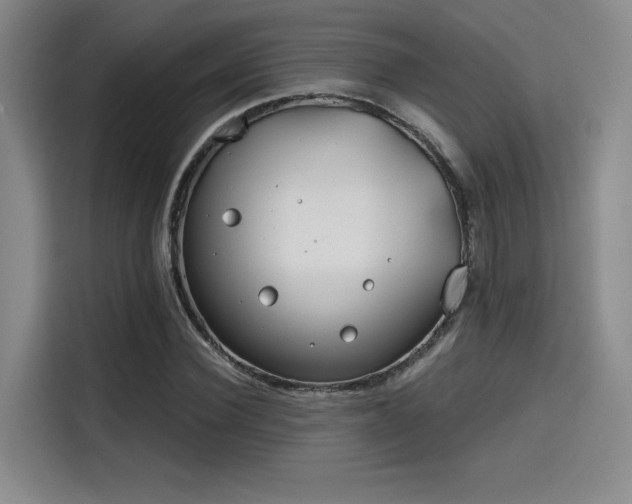 X0000114200924200910161222