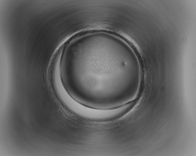 X0000114200925200910161222