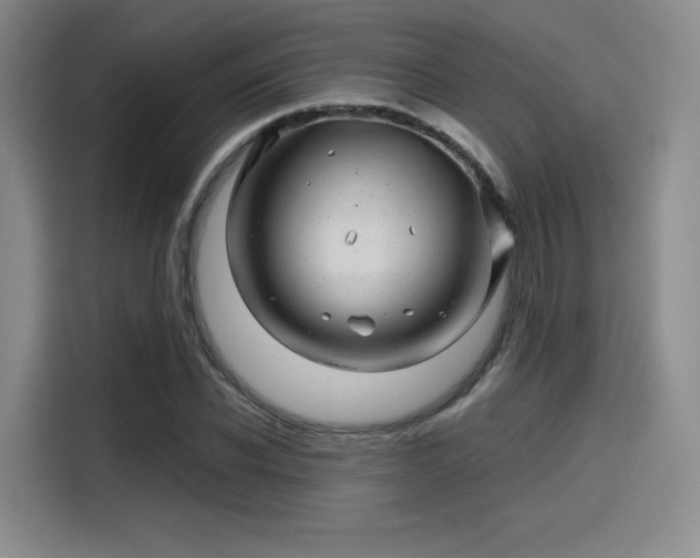 X0000114200926200910161222