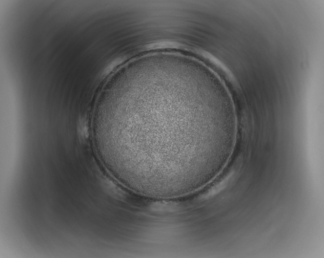 X0000114200929200910161222