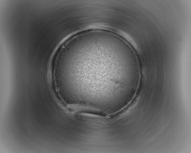 X0000114200931200910161222