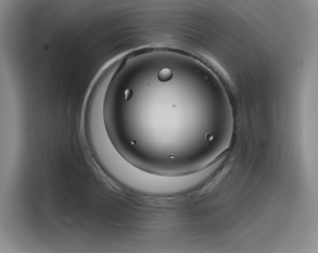 X0000114200932200910161222