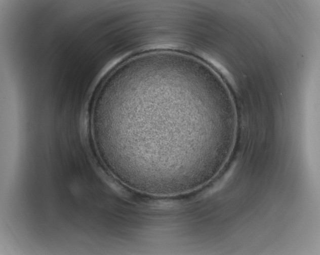 X0000114200933200910161222