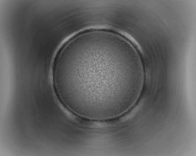 X0000114200935200910161222