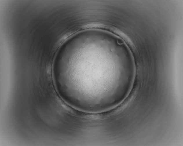 X0000114200937200910161222