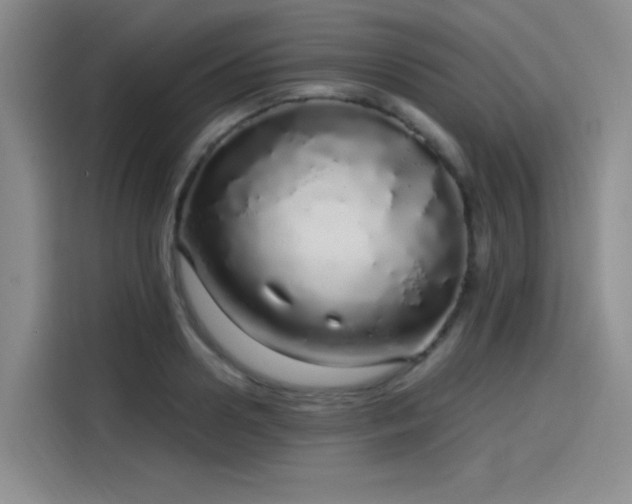 X0000114200938200910161222