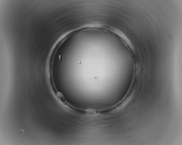 X0000114200939200910161222