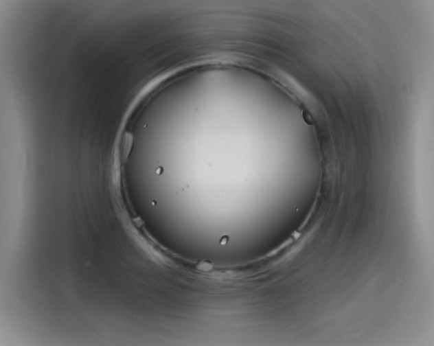 X0000114200940200910161222