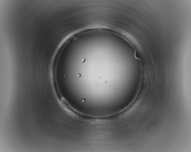 X0000114200942200910161222