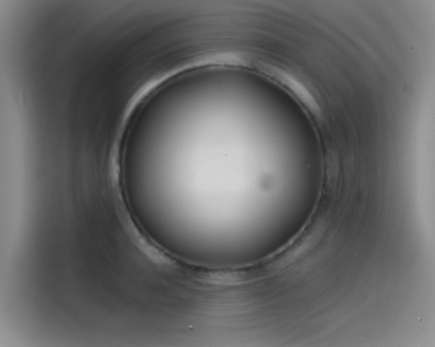 X0000114200944200910161222