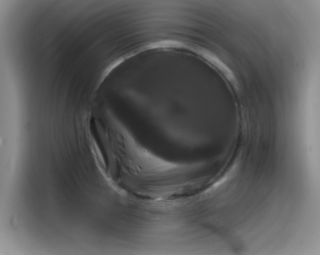 X0000114200945200910161222