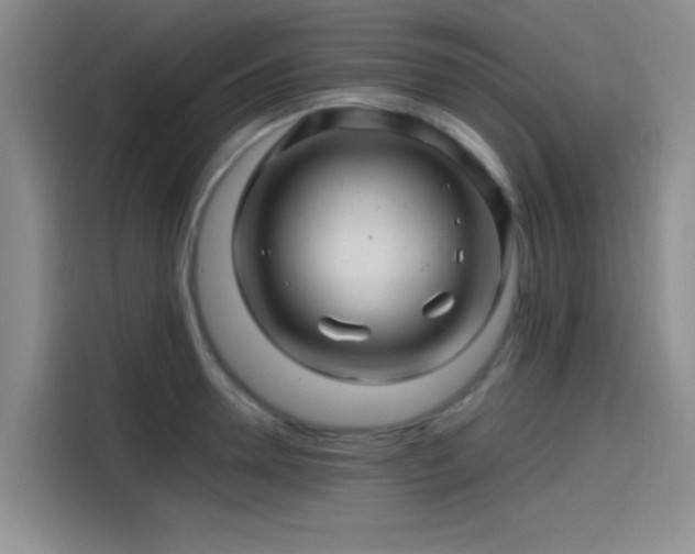 X0000114200946200910161222