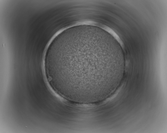 X0000114200947200910161222