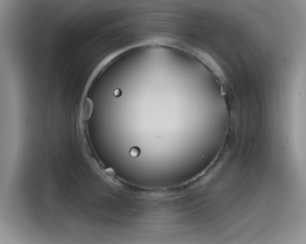 X0000114200948200910161222