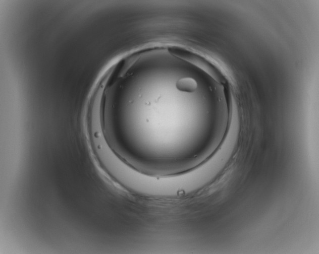 X0000114200950200910161222