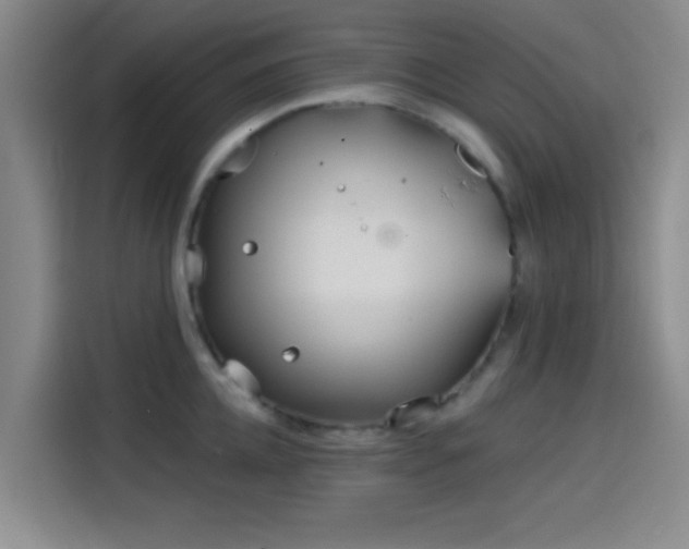 X0000114200952200910161222