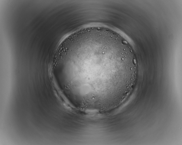 X0000114200953200910161222