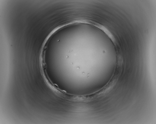 X0000114200955200910161222