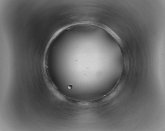 X0000114200956200910161222