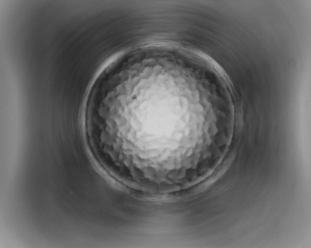 X0000114200957200910161222