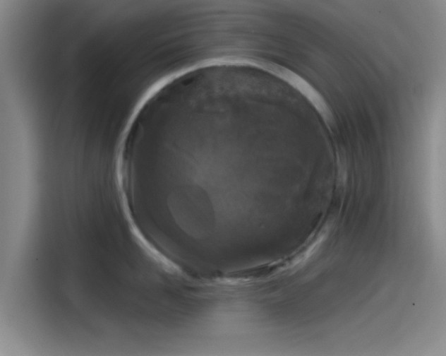 X0000114200958200910161222