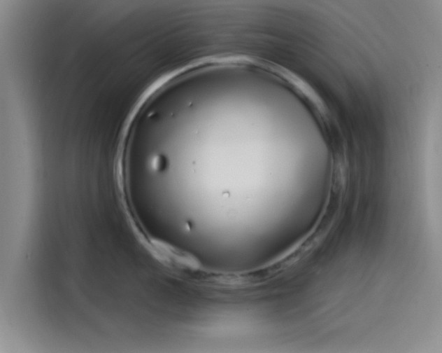 X0000114200959200910161222