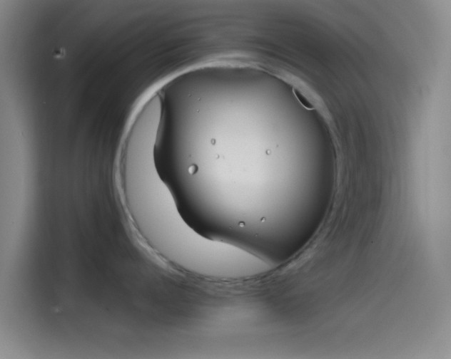 X0000114200960200910161222