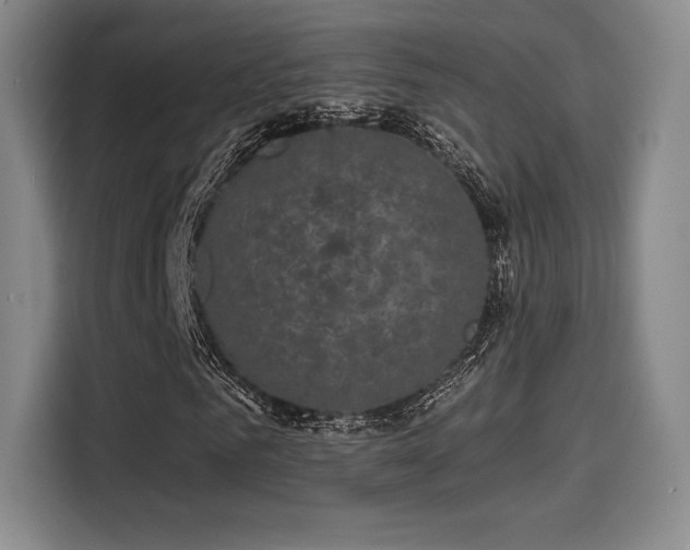 X0000114200961200910161221