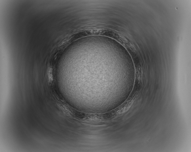 X0000114200962200910161221