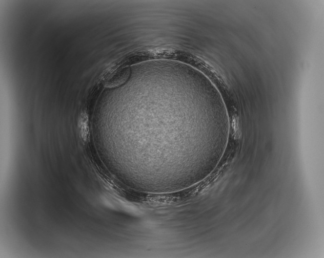 X0000114200963200910161221