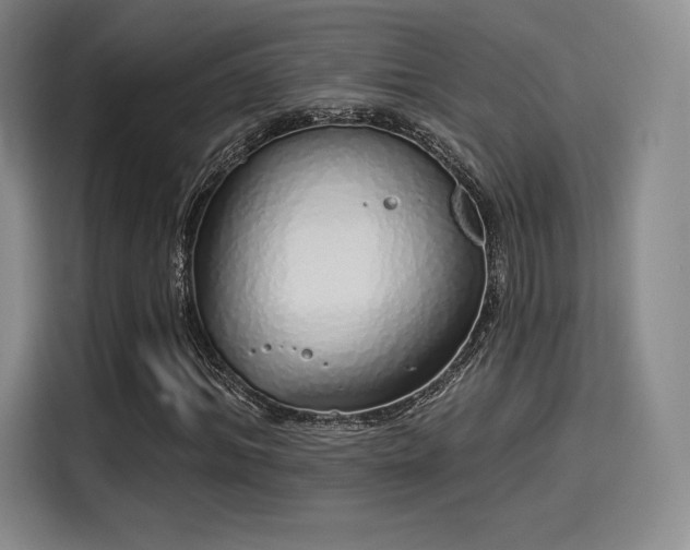 X0000114200964200910161221