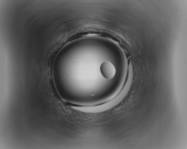 X0000114200965200910161221