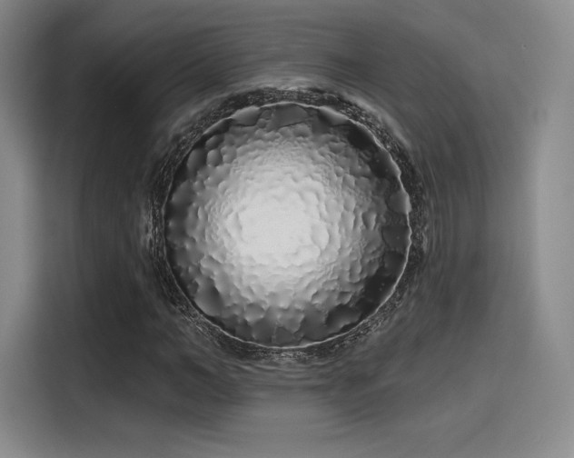 X0000114200966200910161221