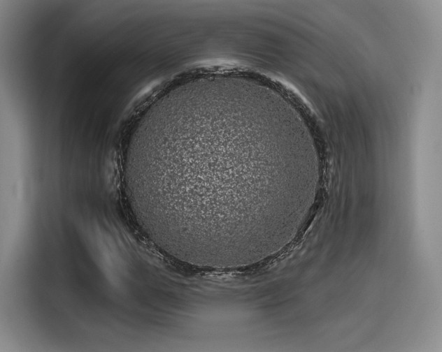 X0000114200967200910161221