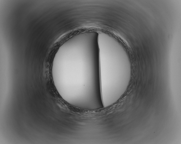 X0000114200968200910161221