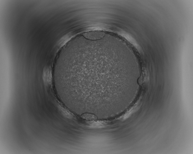 X0000114200969200910161221