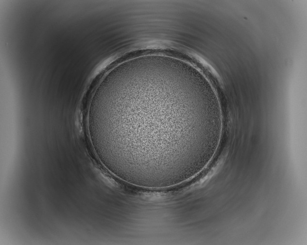 X0000114200970200910161221