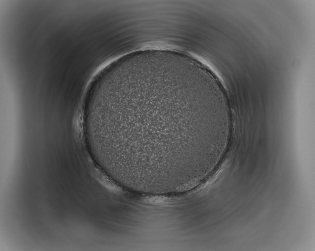 X0000114200971200910161221