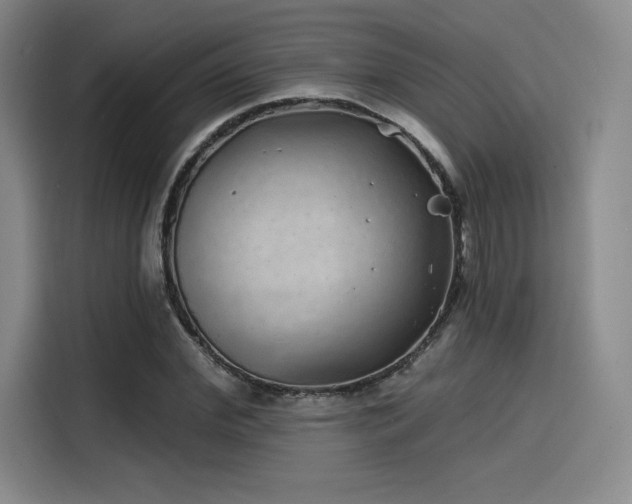 X0000114200972200910161221