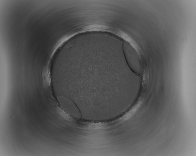 X0000114200973200910161221