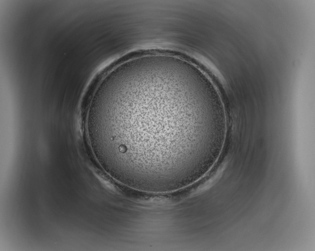 X0000114200974200910161221