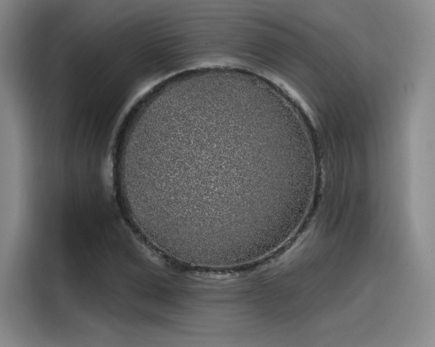 X0000114200975200910161221