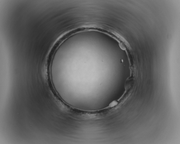 X0000114200976200910161221