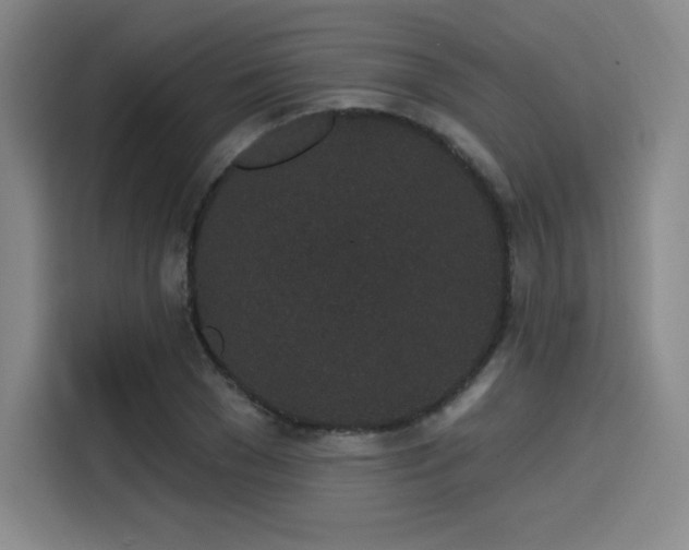 X0000114200977200910161221