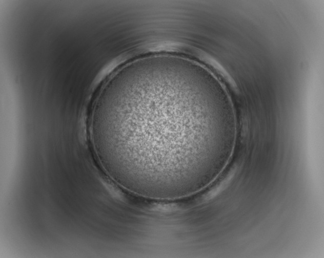 X0000114200978200910161221