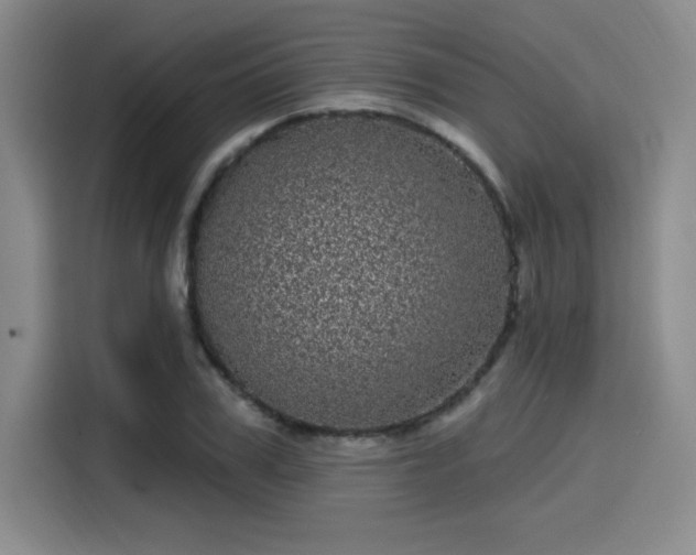 X0000114200979200910161221