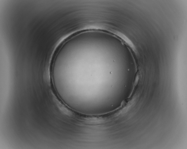 X0000114200980200910161221