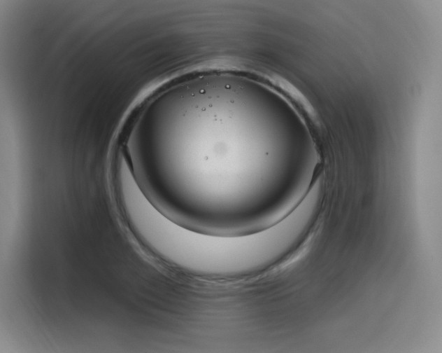 X0000114200981200910161221